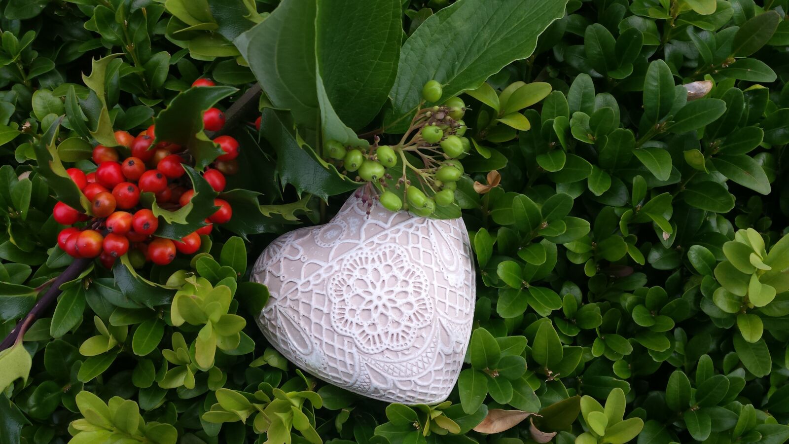 Samsung Galaxy S4 sample photo. Heart, love, autumn photography