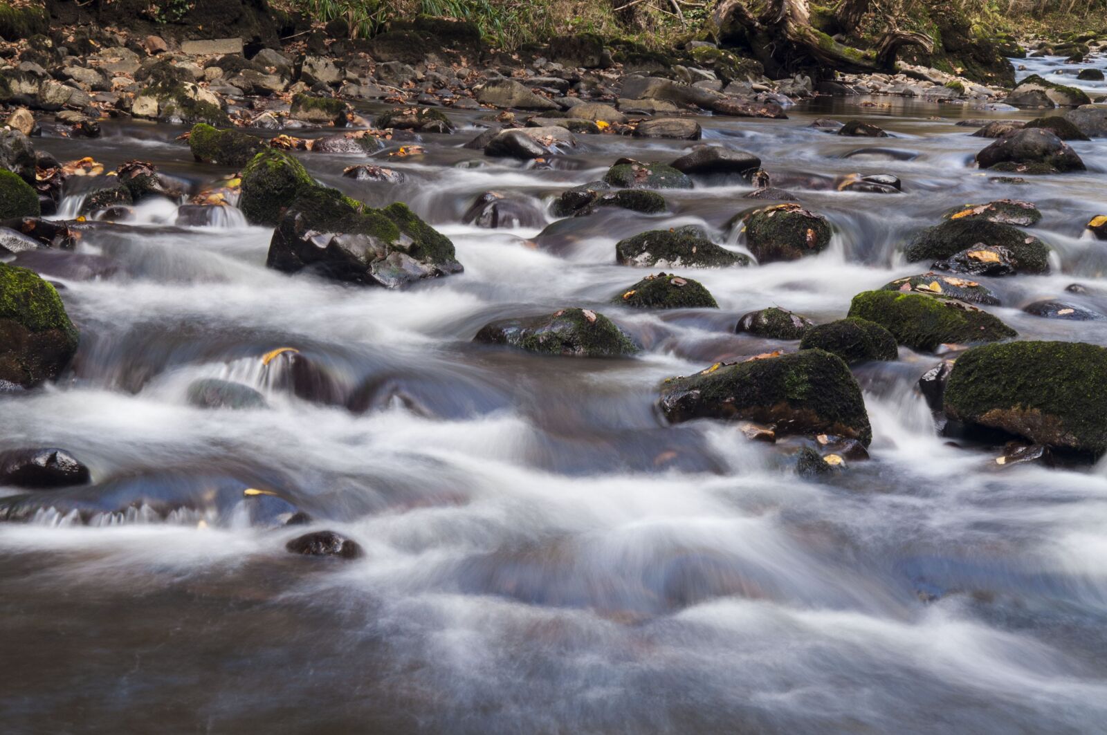 Nikon D90 sample photo. Water, river, landscape photography