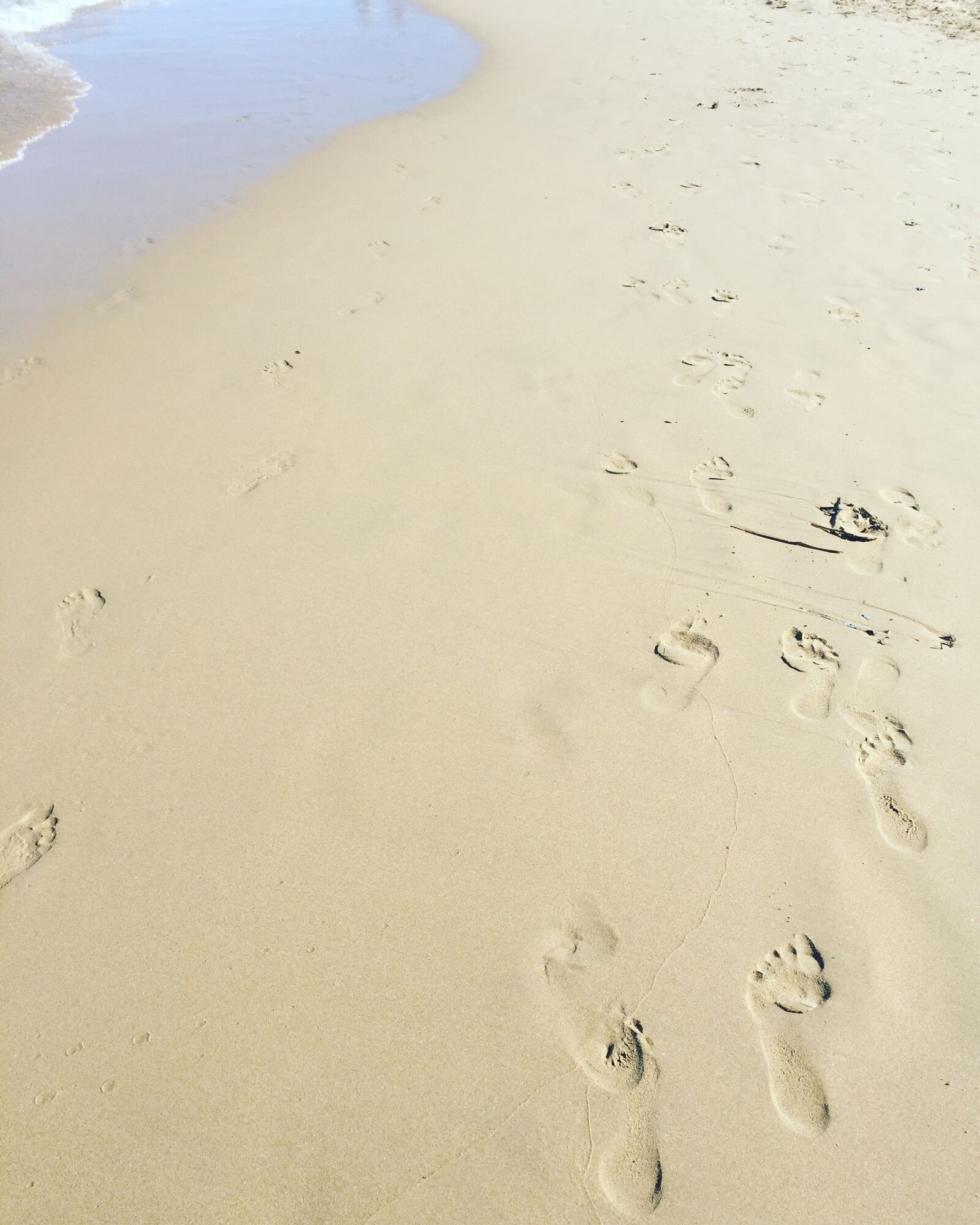 Apple iPhone 6 sample photo. Sand, sea, footprints photography