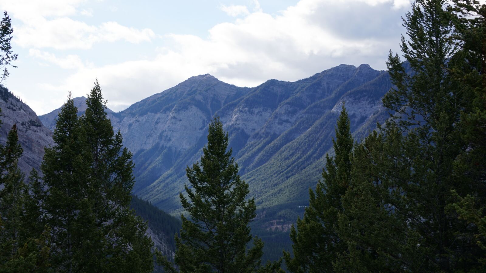 Sony a5100 sample photo. Wood, mountain, canada photography