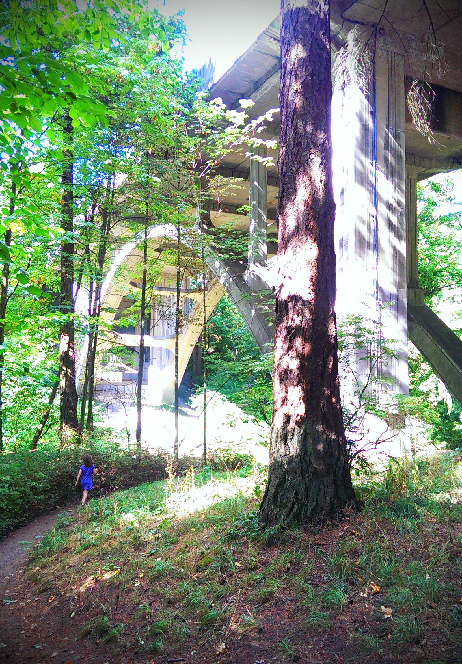 HTC ONE sample photo. Bridge, child, forest, park photography