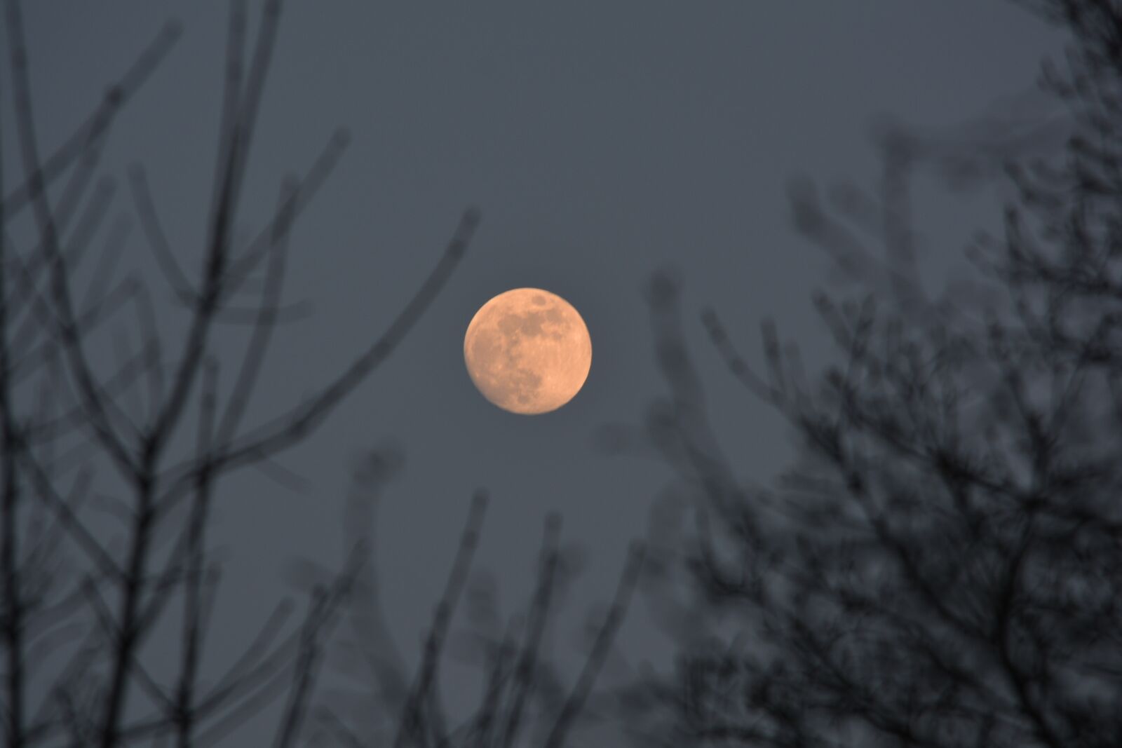 Nikon D5200 sample photo. Moon, natural, sky photography