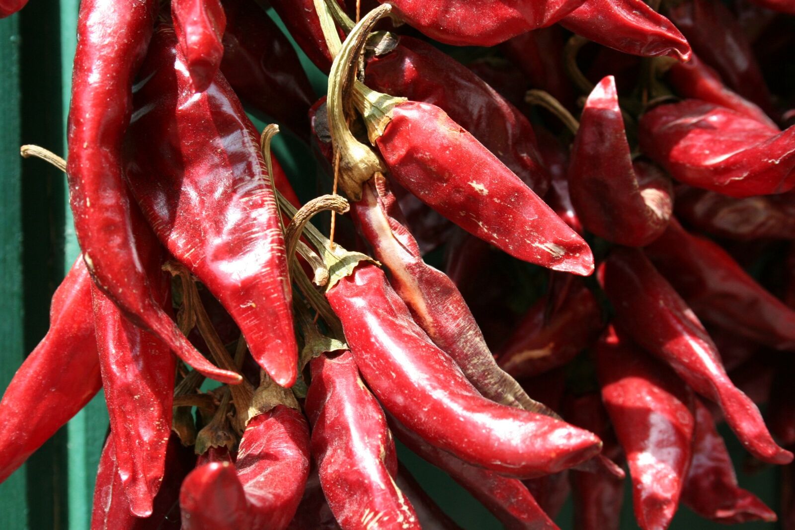 Canon EOS 350D (EOS Digital Rebel XT / EOS Kiss Digital N) sample photo. Paprika, eating, red pepper photography