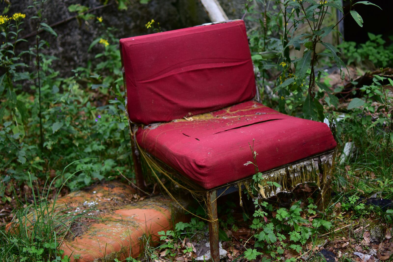Nikon D3400 sample photo. Chair, lost place, furniture photography