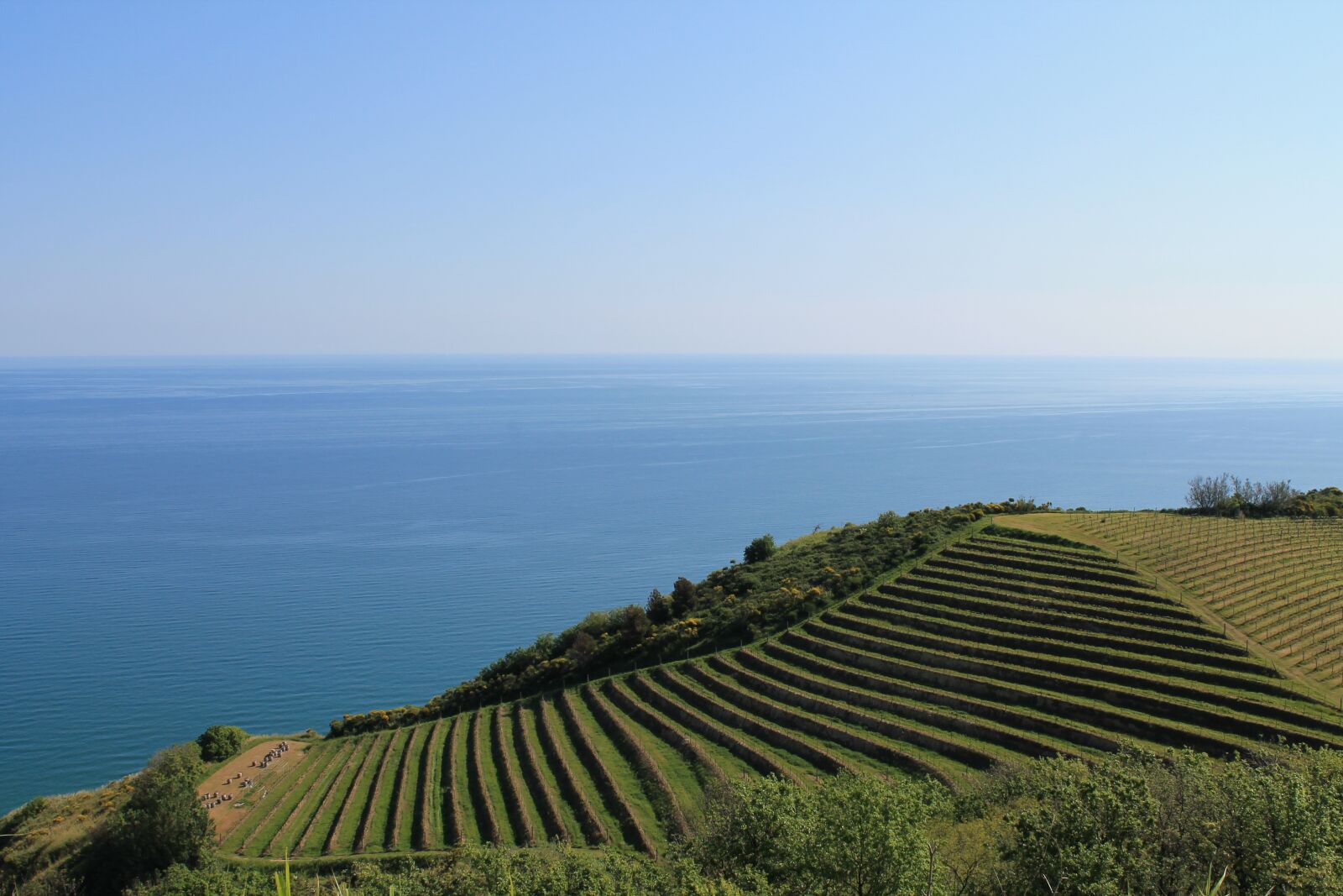 Canon EOS 1100D (EOS Rebel T3 / EOS Kiss X50) sample photo. Vineyard, sea, blue photography