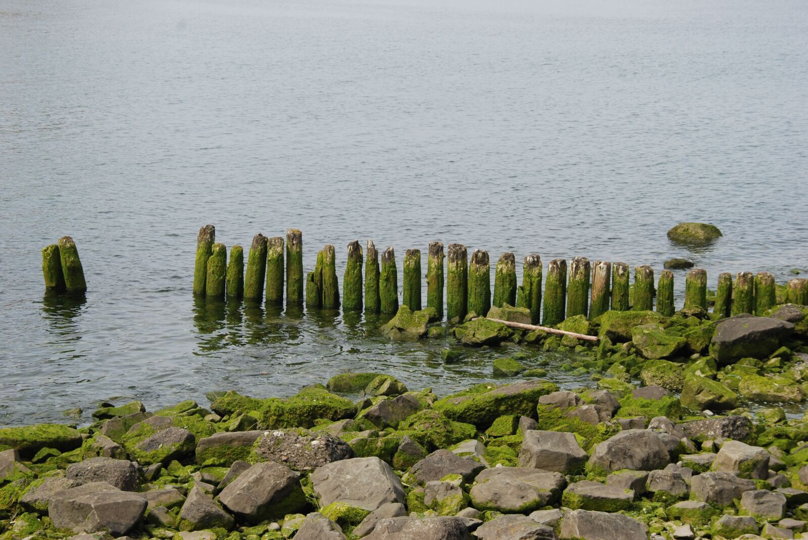Nikon D80 sample photo. Sea, coast, rock photography