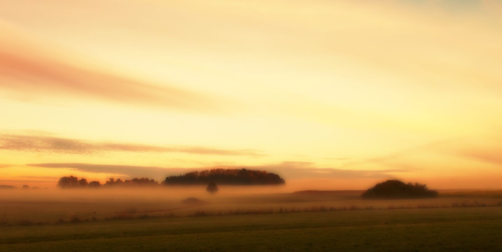 Canon EOS 500D (EOS Rebel T1i / EOS Kiss X3) sample photo. Sky, meadow, abendstimmung photography