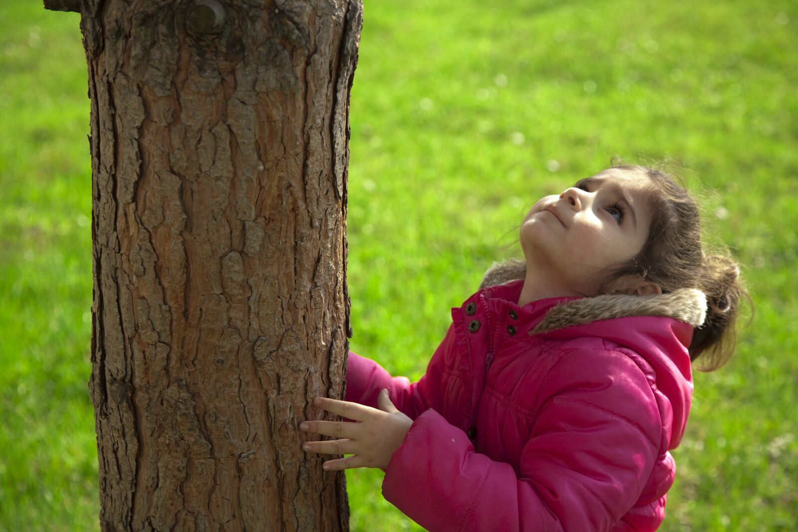 Canon EOS 5D sample photo. Child, tree, nature photography