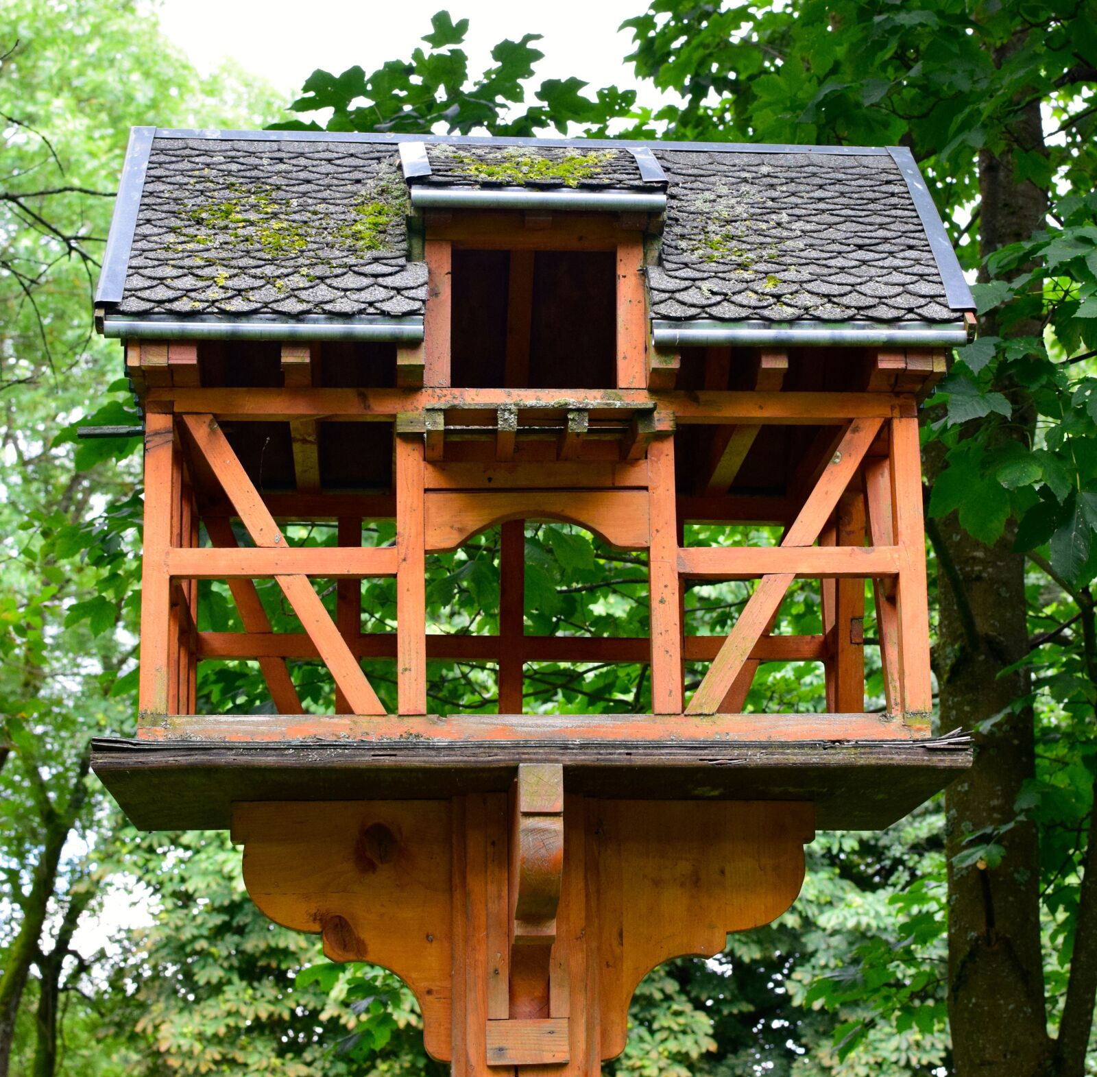 Nikon D5300 sample photo. Aviary, feeding, wood work photography