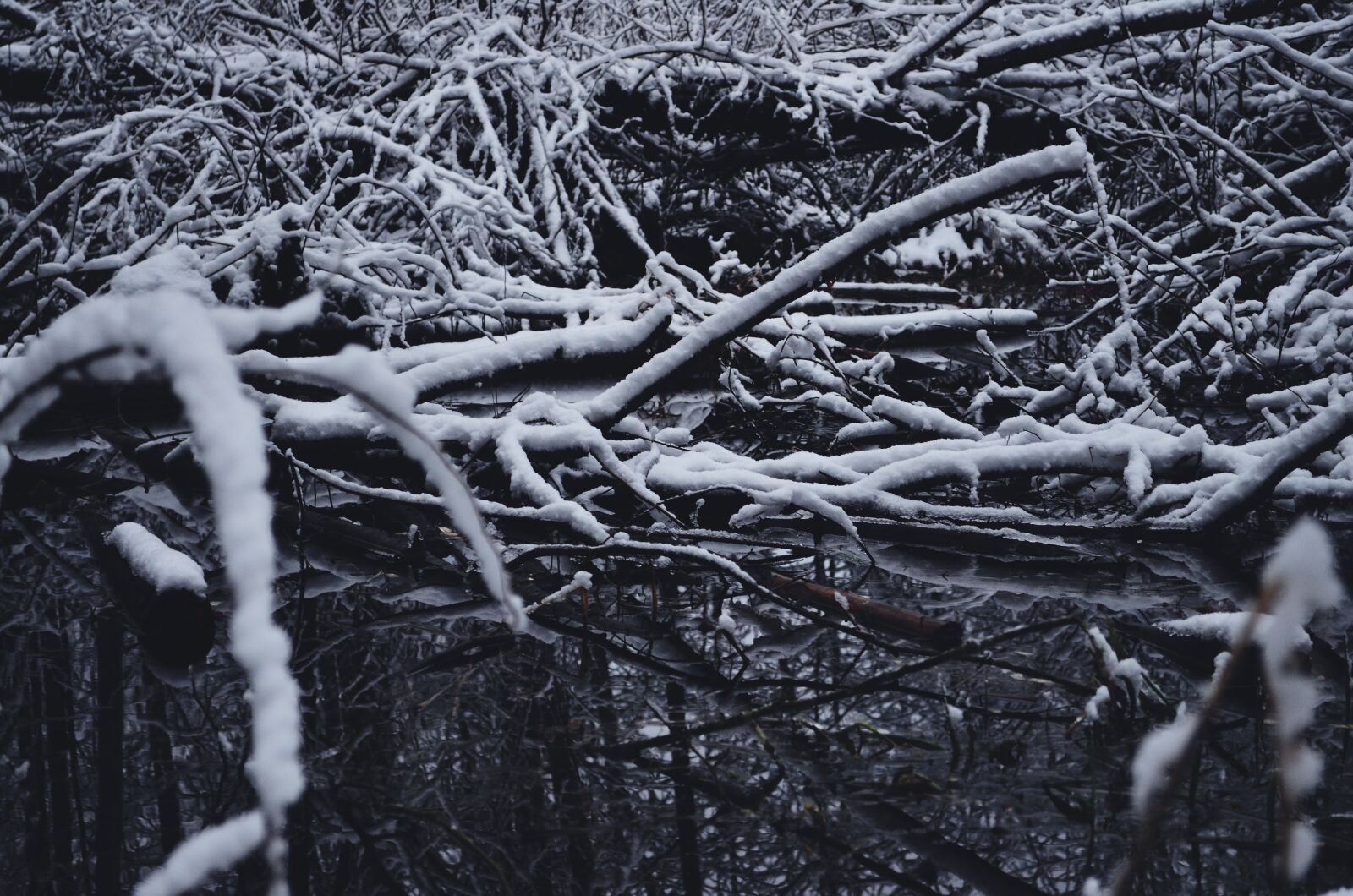 Nikon D5100 sample photo. Water, snow, winter photography