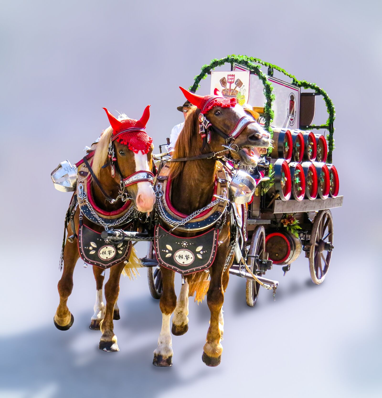 Canon PowerShot SX50 HS sample photo. Transport, coach, horses photography