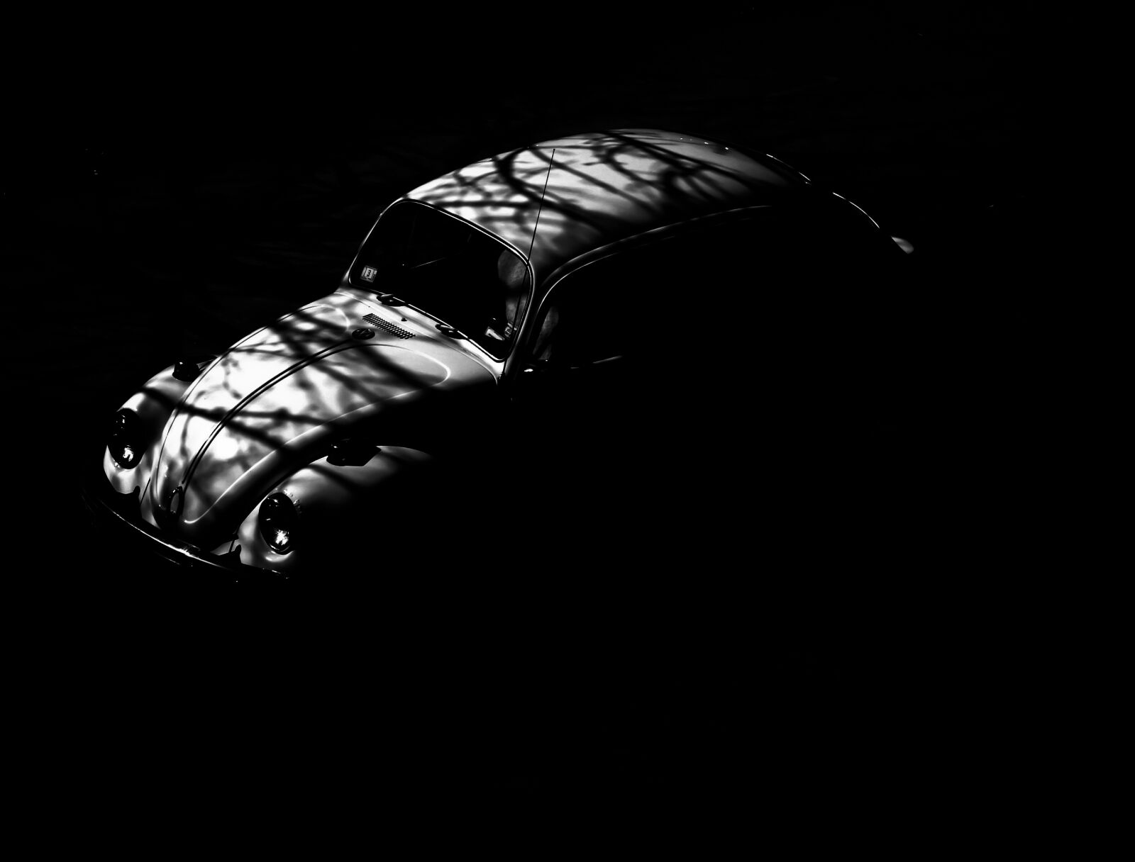 Sony DSC-F828 sample photo. Black, and, white, dark photography