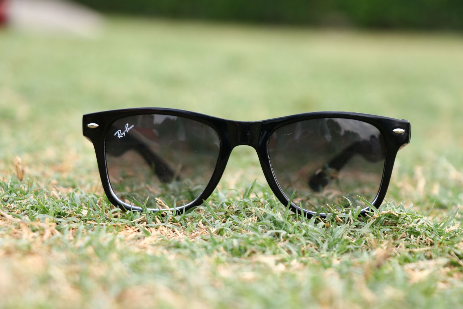 Canon EF-S 18-135mm F3.5-5.6 IS USM sample photo. Sunglass, shades, glasses photography
