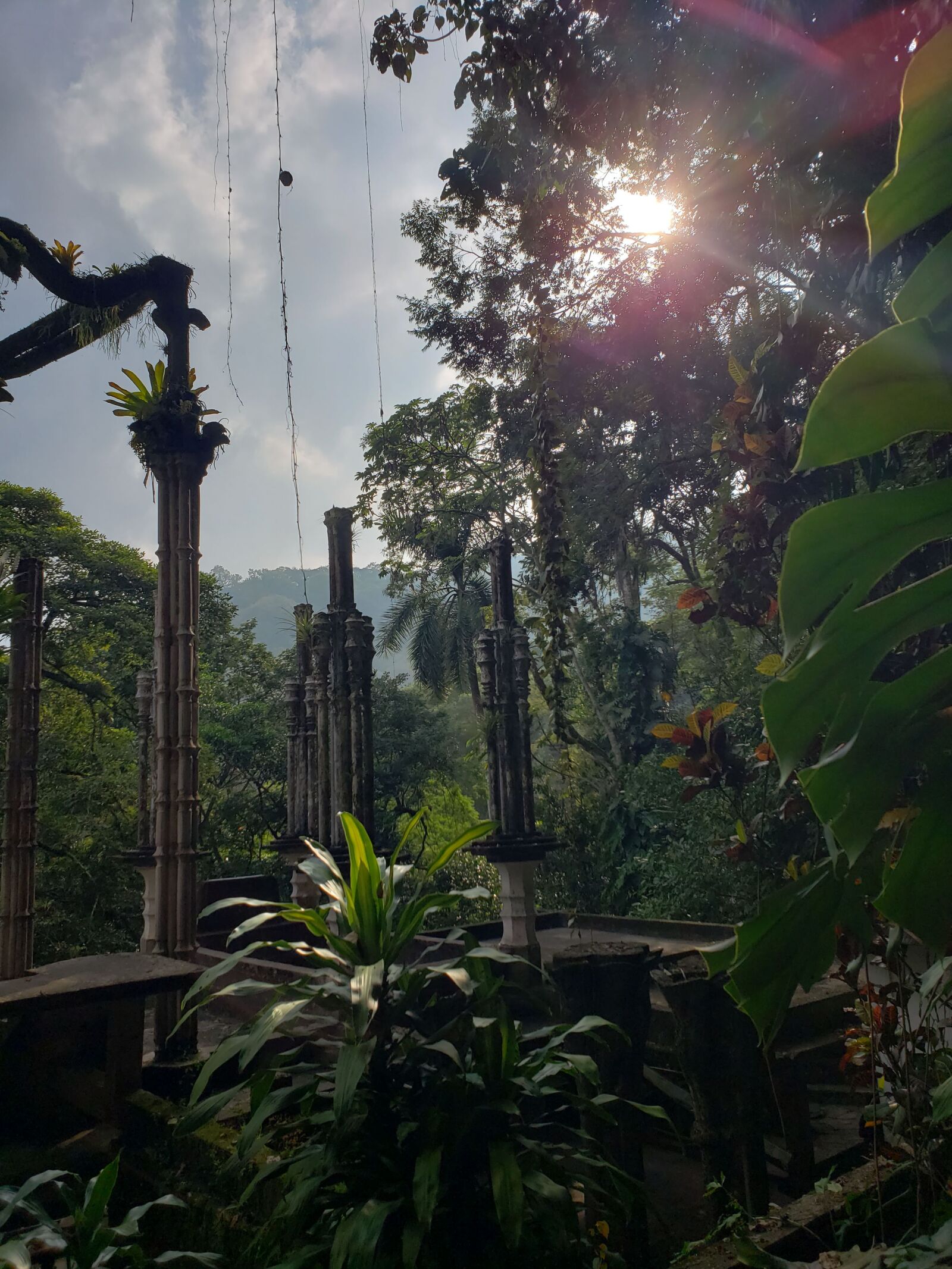 Samsung Galaxy S9+ sample photo. Landscape, green, nature photography