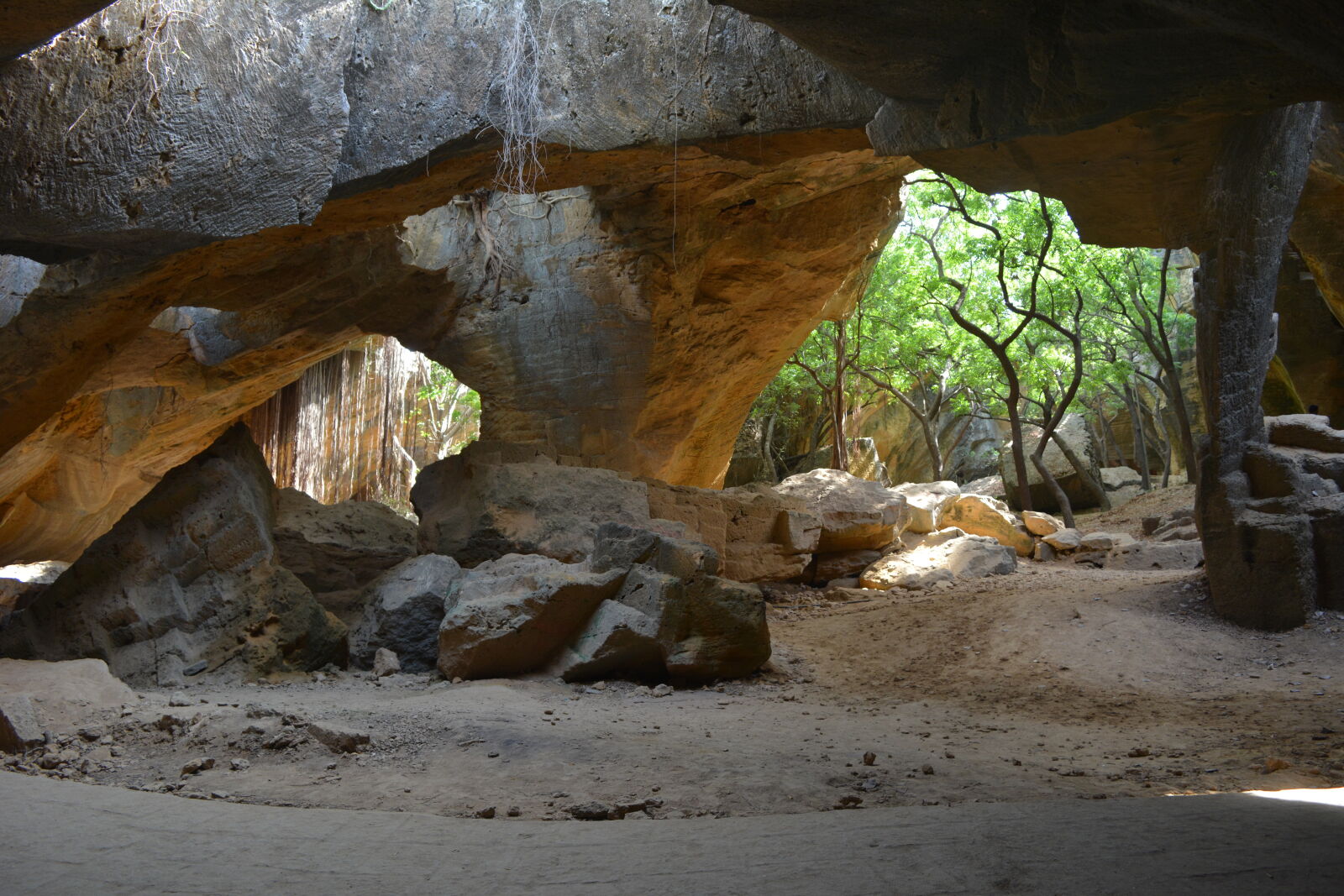 Nikon D5200 sample photo