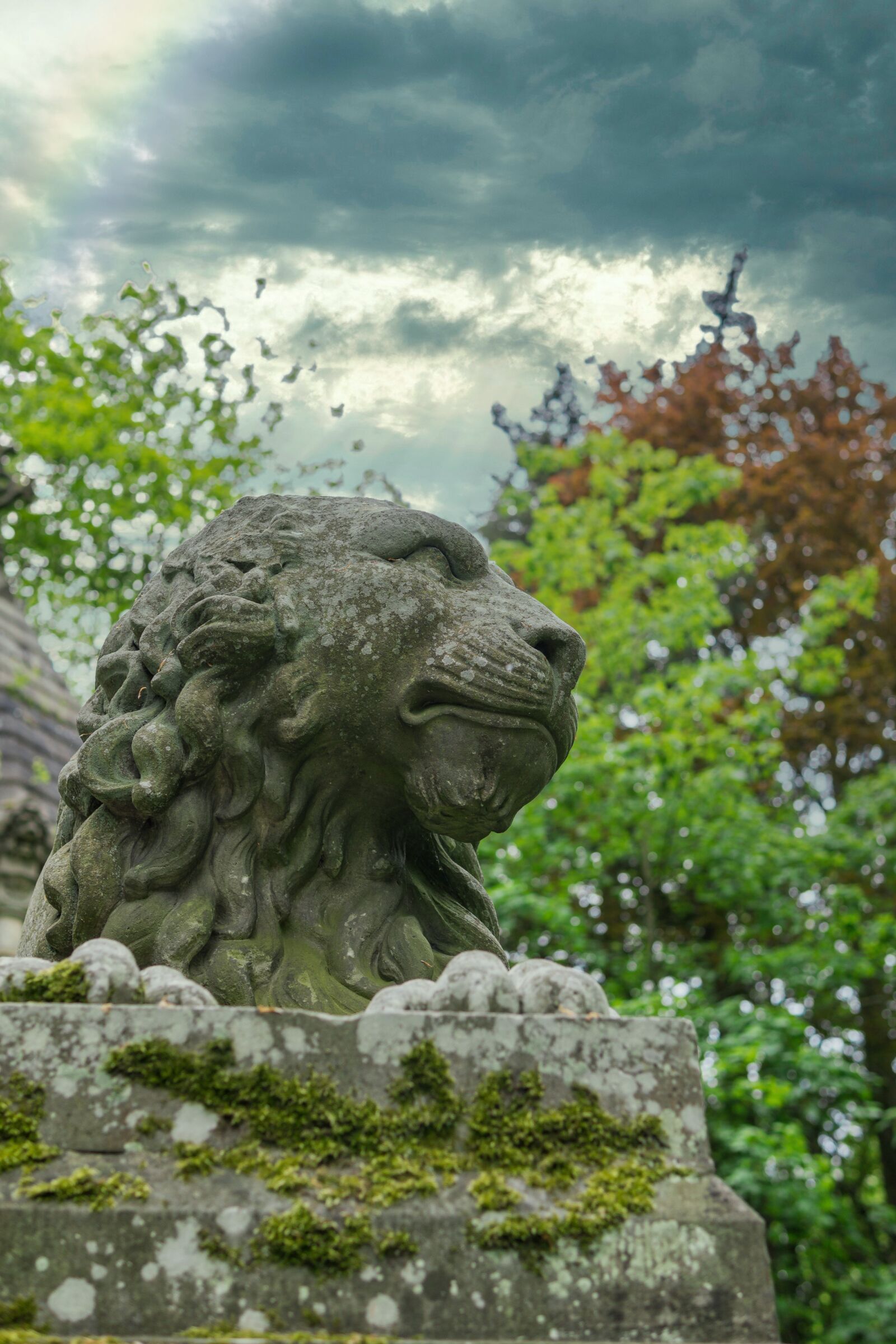 30mm F1.4 DC DN | Contemporary 016 sample photo. Lion, stone, statue photography