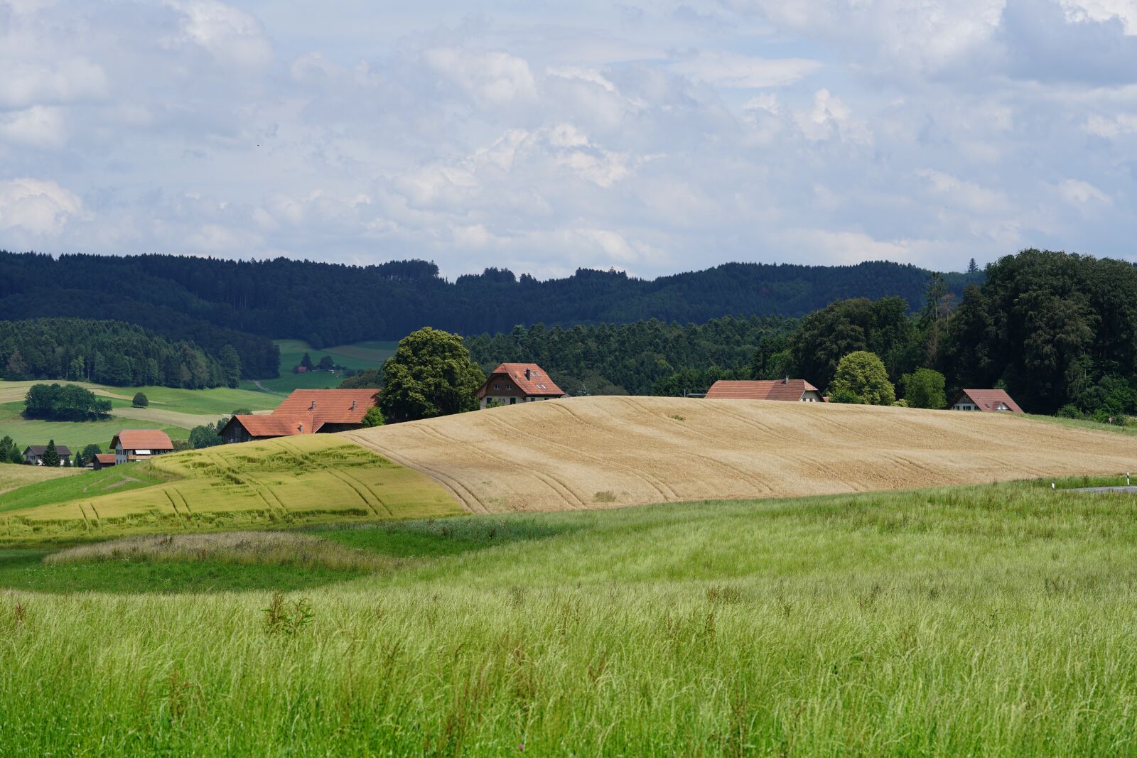 Sony a7R II + Sony FE 90mm F2.8 Macro G OSS sample photo. Button ried, hamlet, village photography