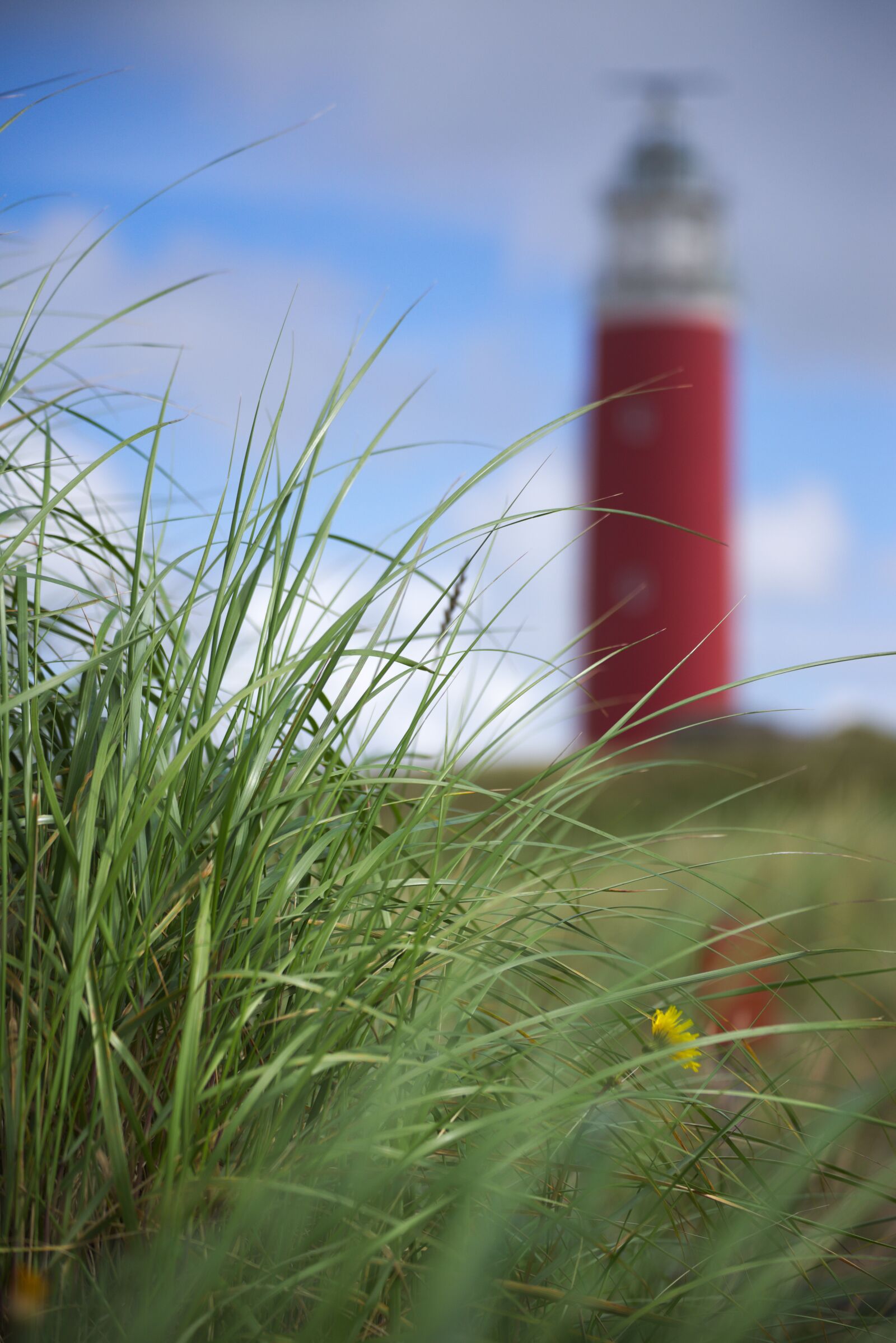 Nikon D600 sample photo. Texel, dunes, summer photography