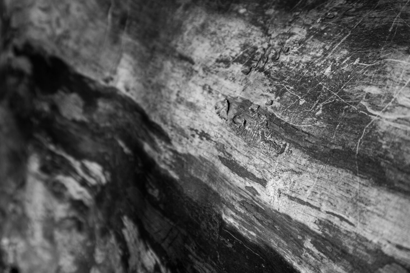 Canon PowerShot G7 X Mark II sample photo. Wood closeup, background, texture photography