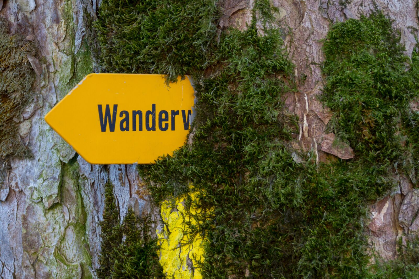 Canon EOS 7D sample photo. Trail, directory, switzerland photography
