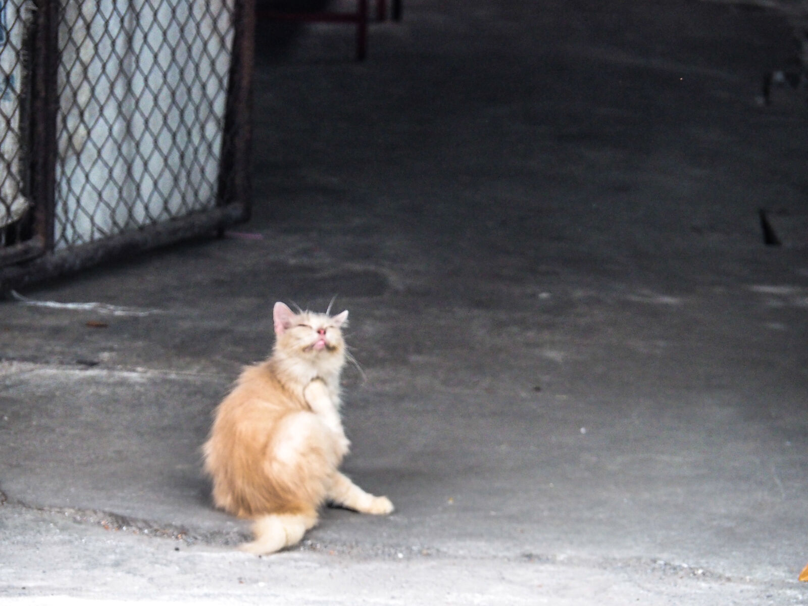Olympus OM-D E-M10 II sample photo