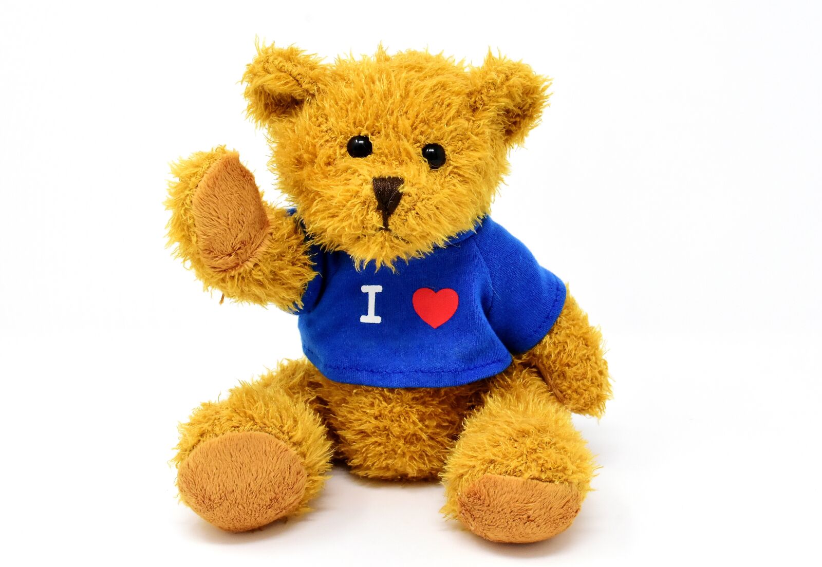 Nikon D7200 sample photo. Teddy, cute, animal photography