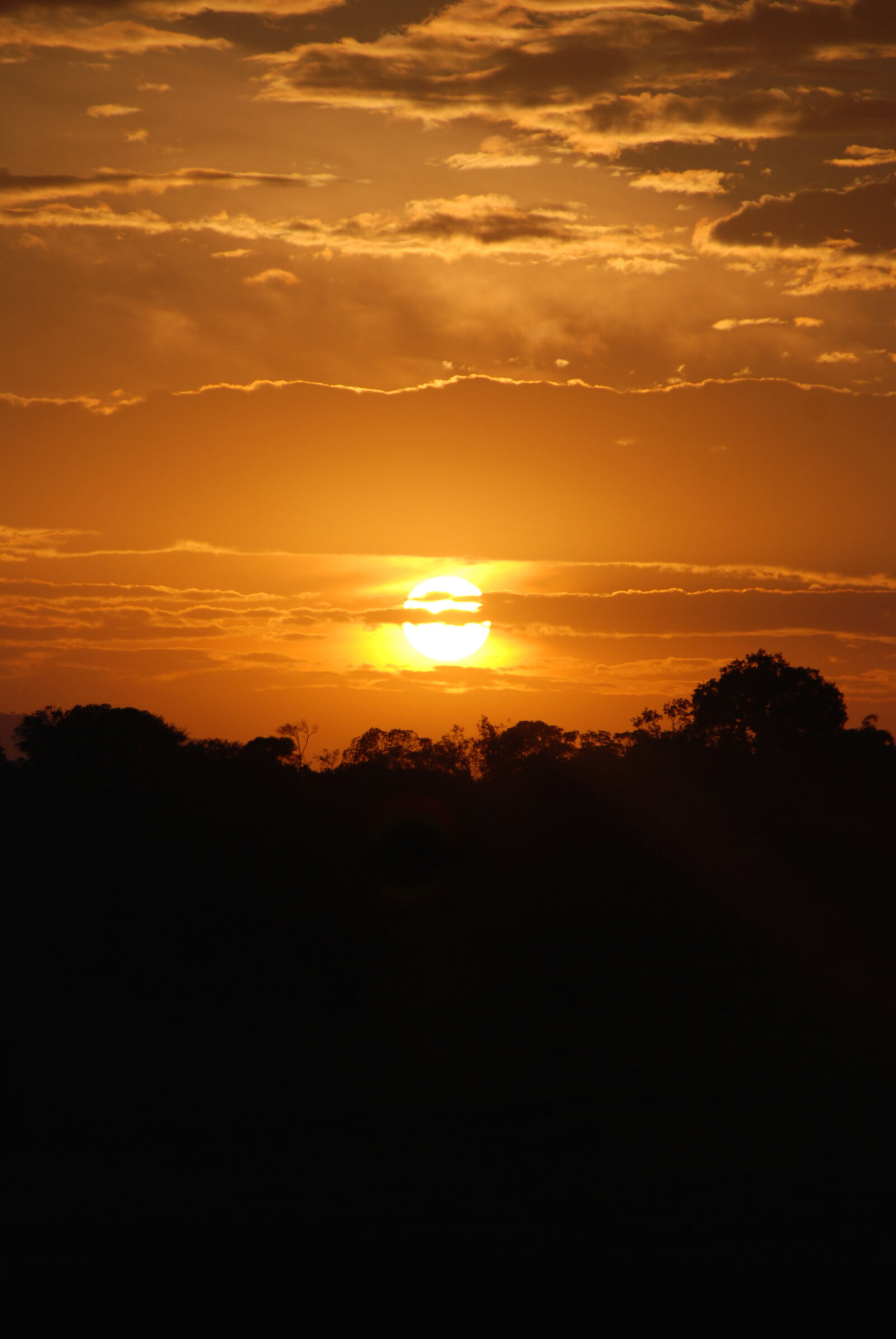Nikon D80 sample photo. Africa, kenya, safari, silhouette photography