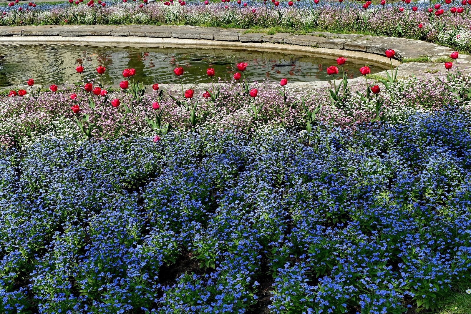 Nikon D5500 sample photo. Lake, garden, nature, flora photography