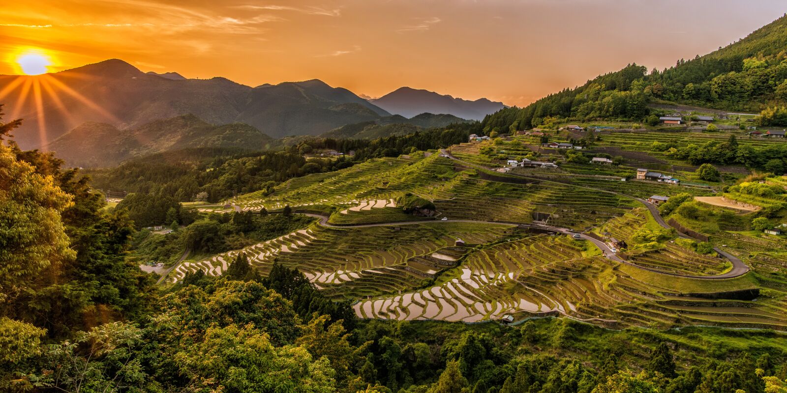 Nikon D800E sample photo. Landscape, rice terraces, sunset photography
