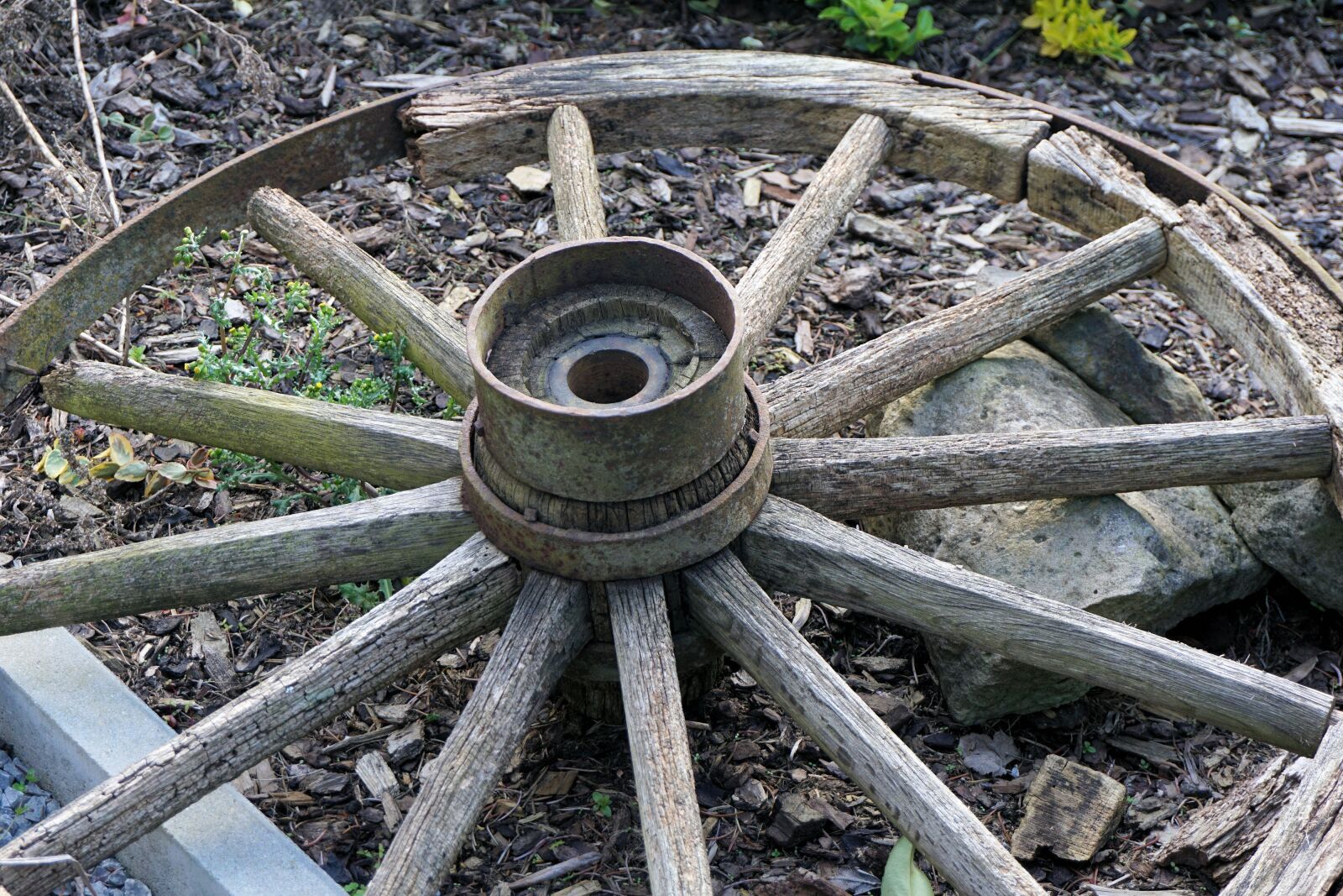 Sony a6000 sample photo. Wheel, wooden wheel, old photography