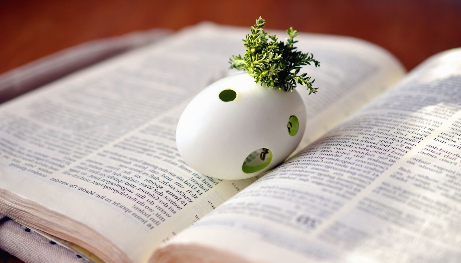 Nikon D5200 sample photo. Egg, moss, books, words photography
