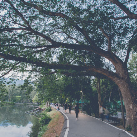 風景写真に最適◎ Canon EF 17-40mm F4L USM CANON EF17-40mm F4L USM投稿画像・動画 (レビュー) - 価格.com