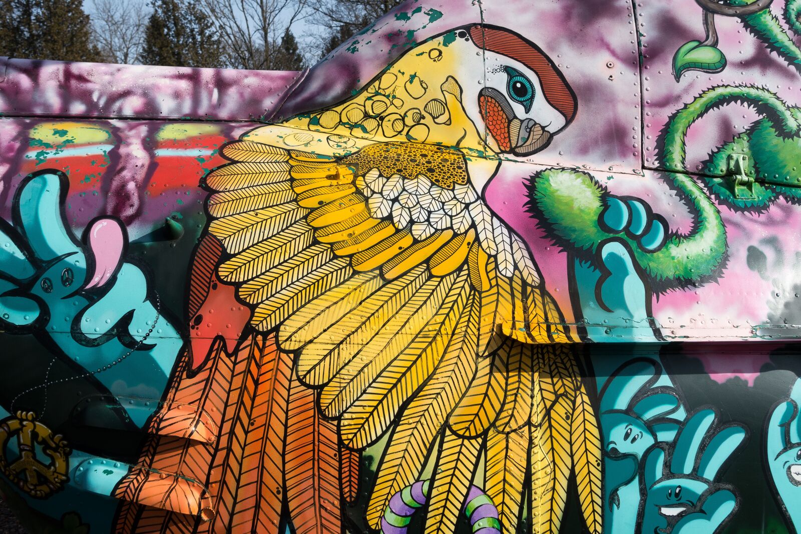 Sony Cyber-shot DSC-RX100 III sample photo. Parrot, graffiti, helicopter photography