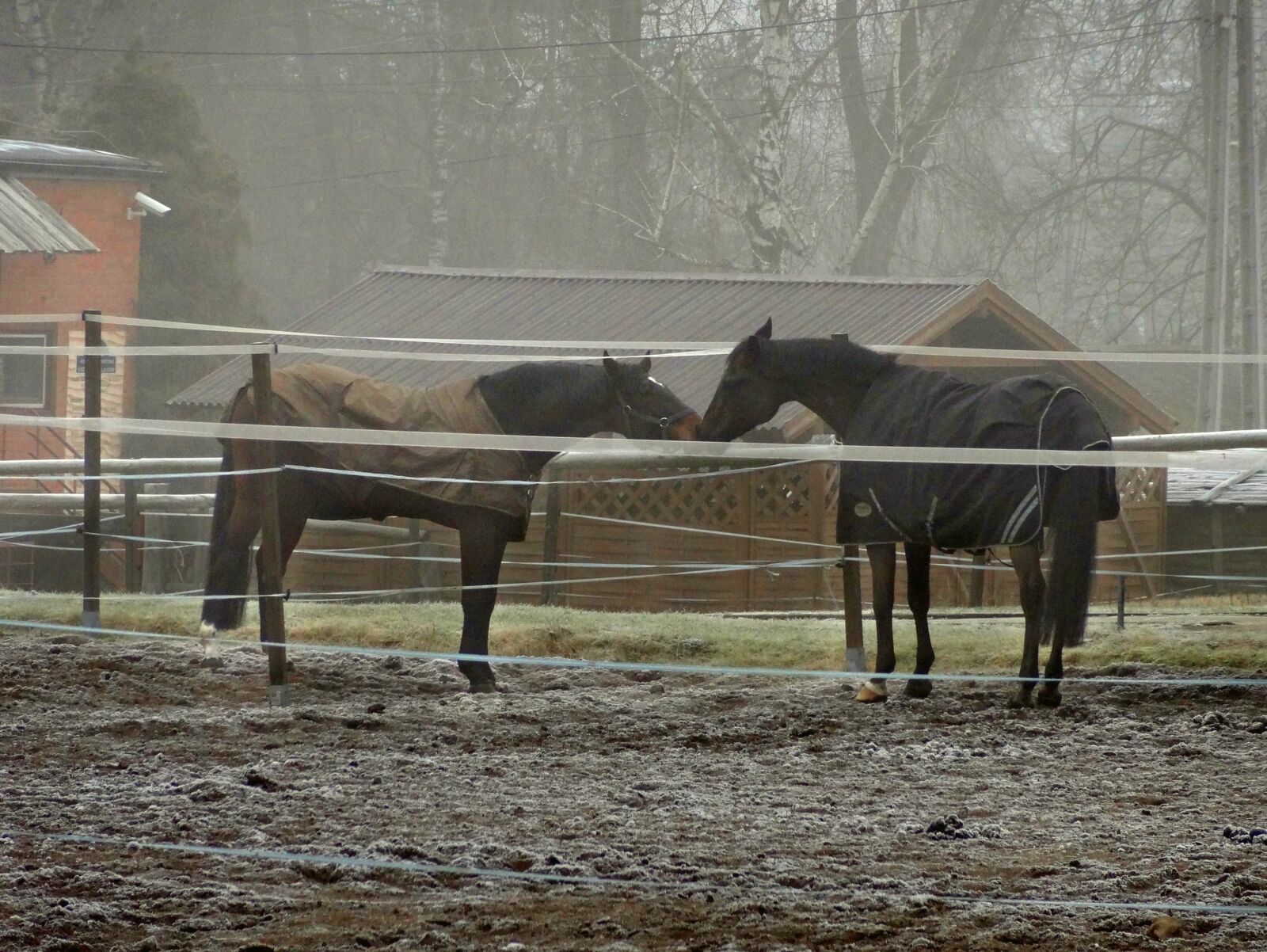 Sony Cyber-shot DSC-HX9V sample photo. Author, skibka, photo photography