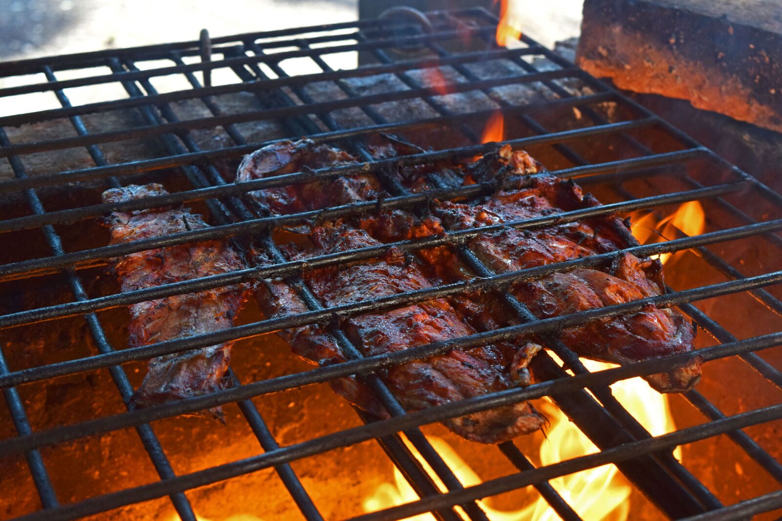 Nikon D5300 sample photo. Fish, buffeted, fire photography