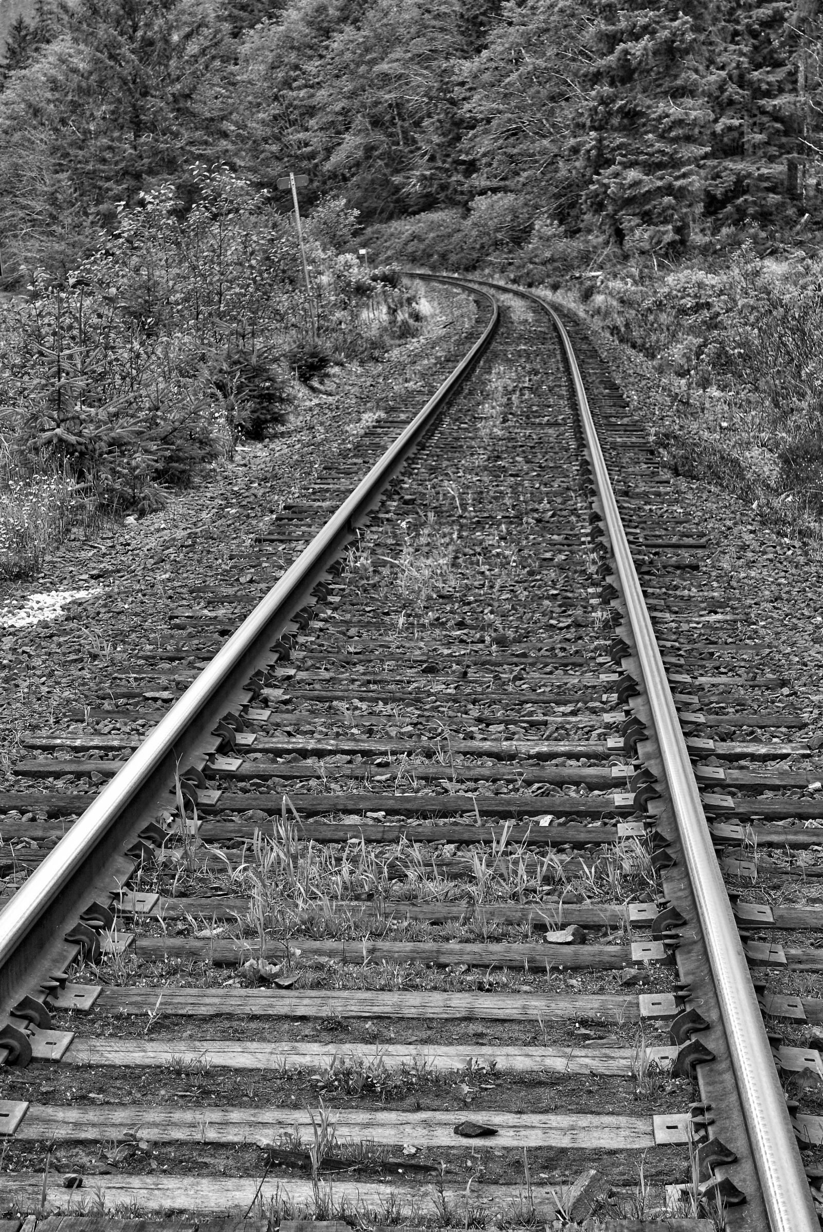 Sony Cyber-shot DSC-RX100 III sample photo. Railway line, perspective, train photography