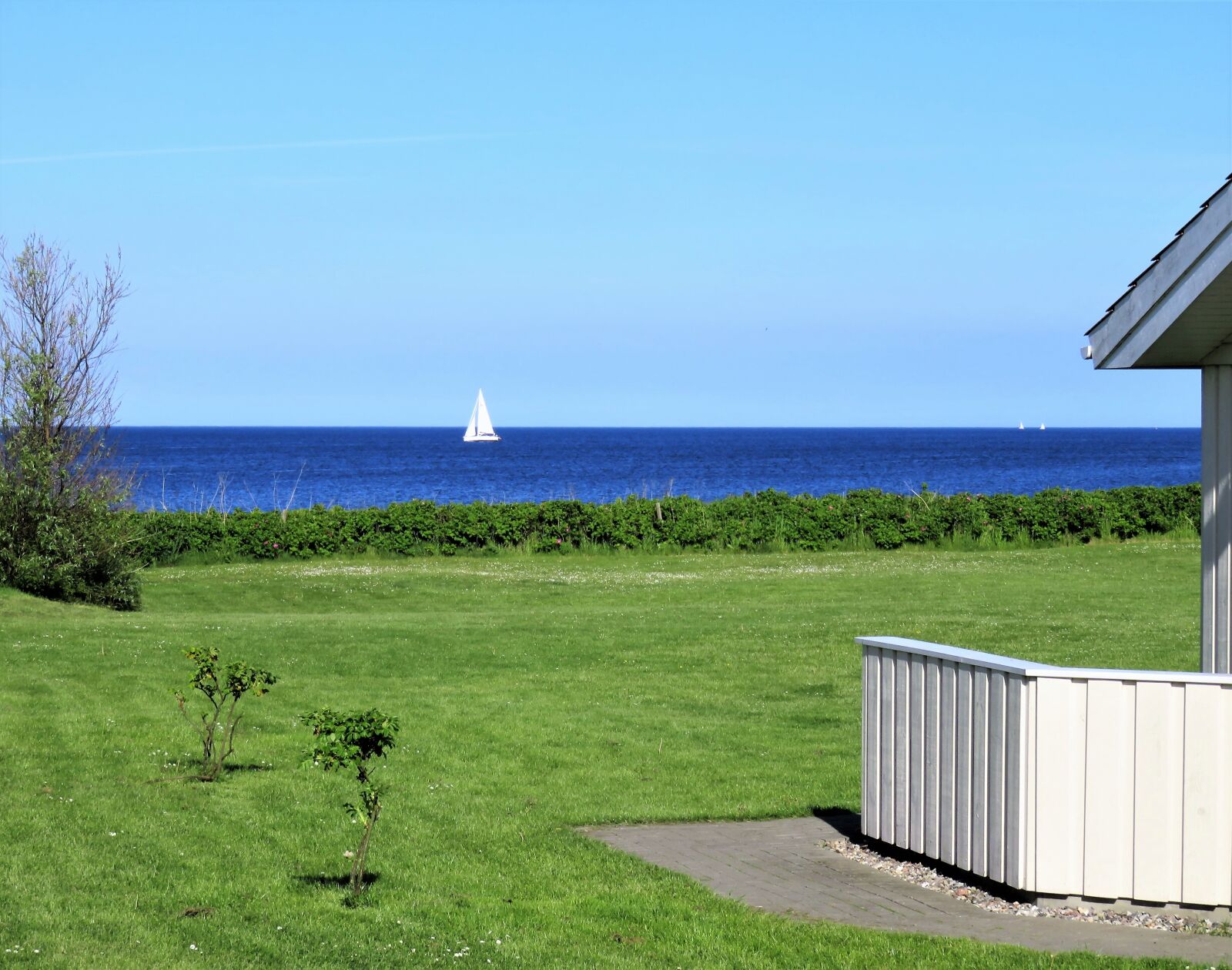 Canon PowerShot SX710 HS sample photo. Sea, baltic sea, coast photography