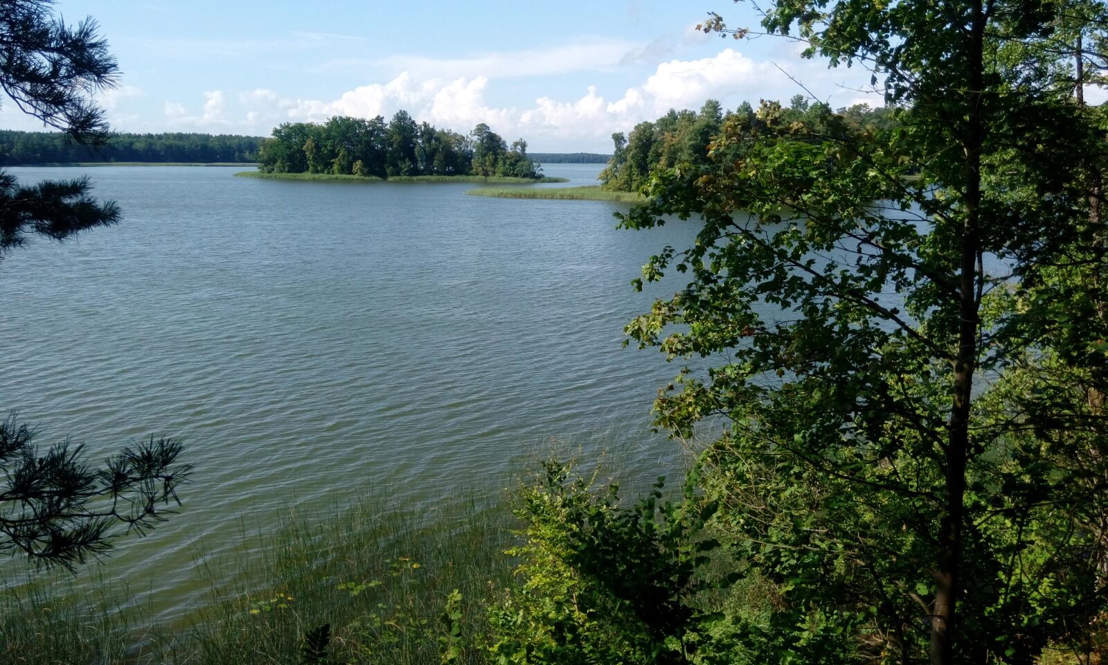 HTC DESIRE 820G PLUS DUAL SIM sample photo. Lake, trees, water photography