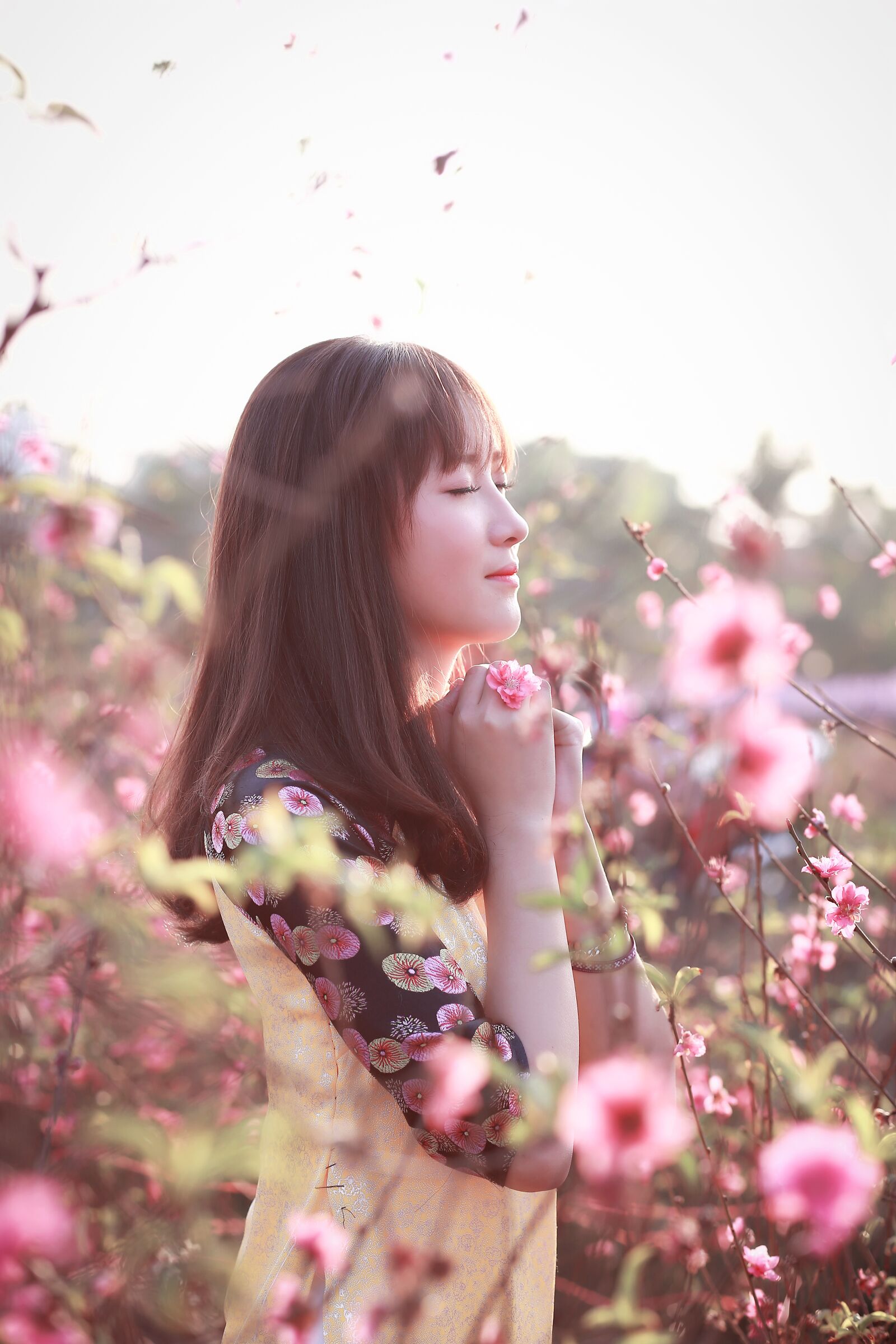Canon EF 85mm F1.8 USM sample photo. Nature, flower, beautiful photography