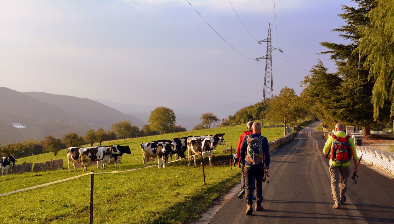 Nikon D7100 sample photo. Excursion, walk, road photography