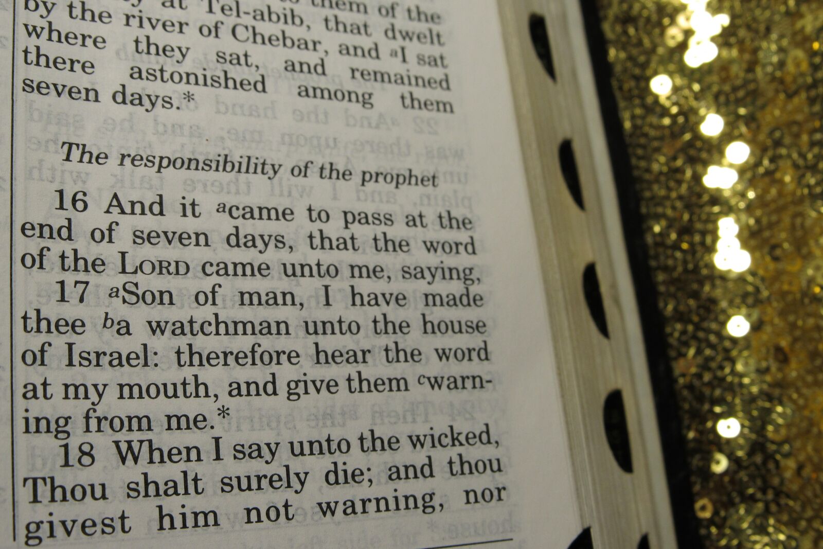 Canon PowerShot SX530 HS sample photo. Holy bible, gold, glitter photography
