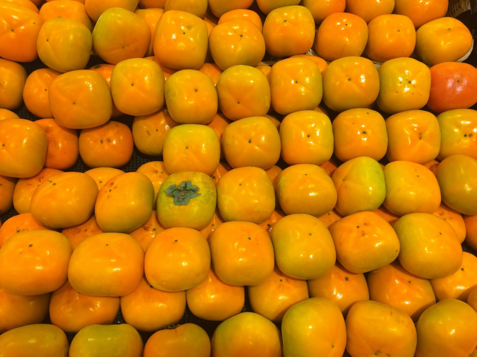 iPhone 5s back camera 4.15mm f/2.2 sample photo. Persimmon, huang, orange photography