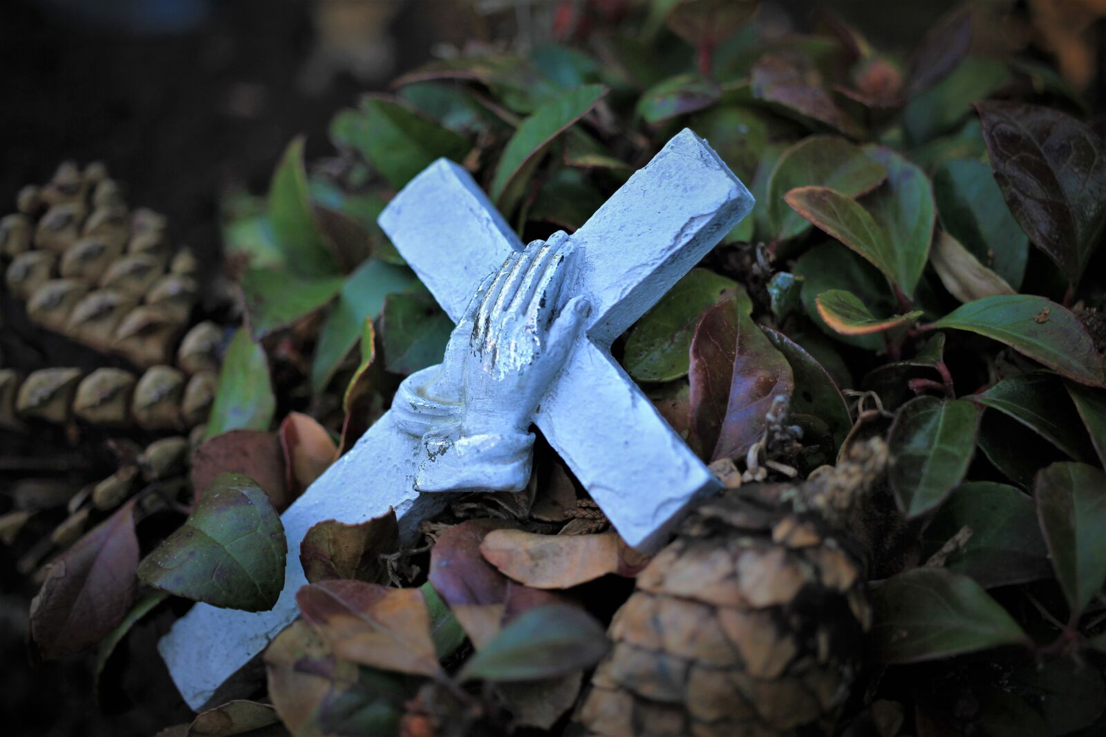 Canon EOS 7D sample photo. Cross, hands, pray photography