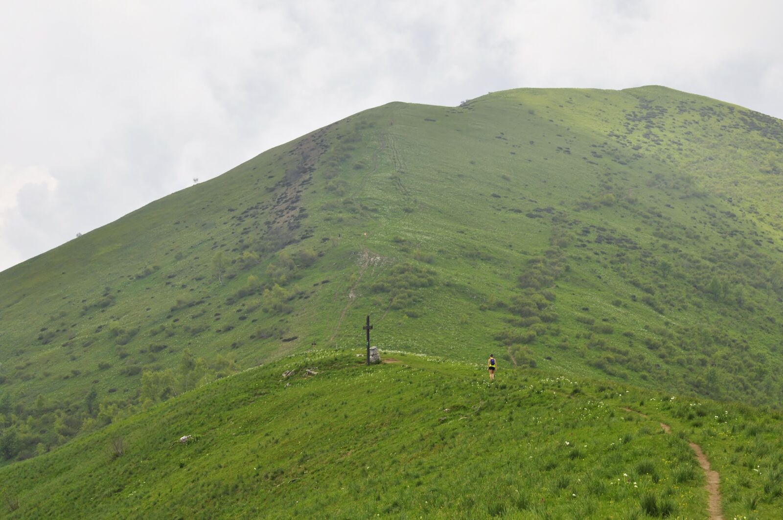 Nikon D5000 sample photo. Landscape, mountain, green photography