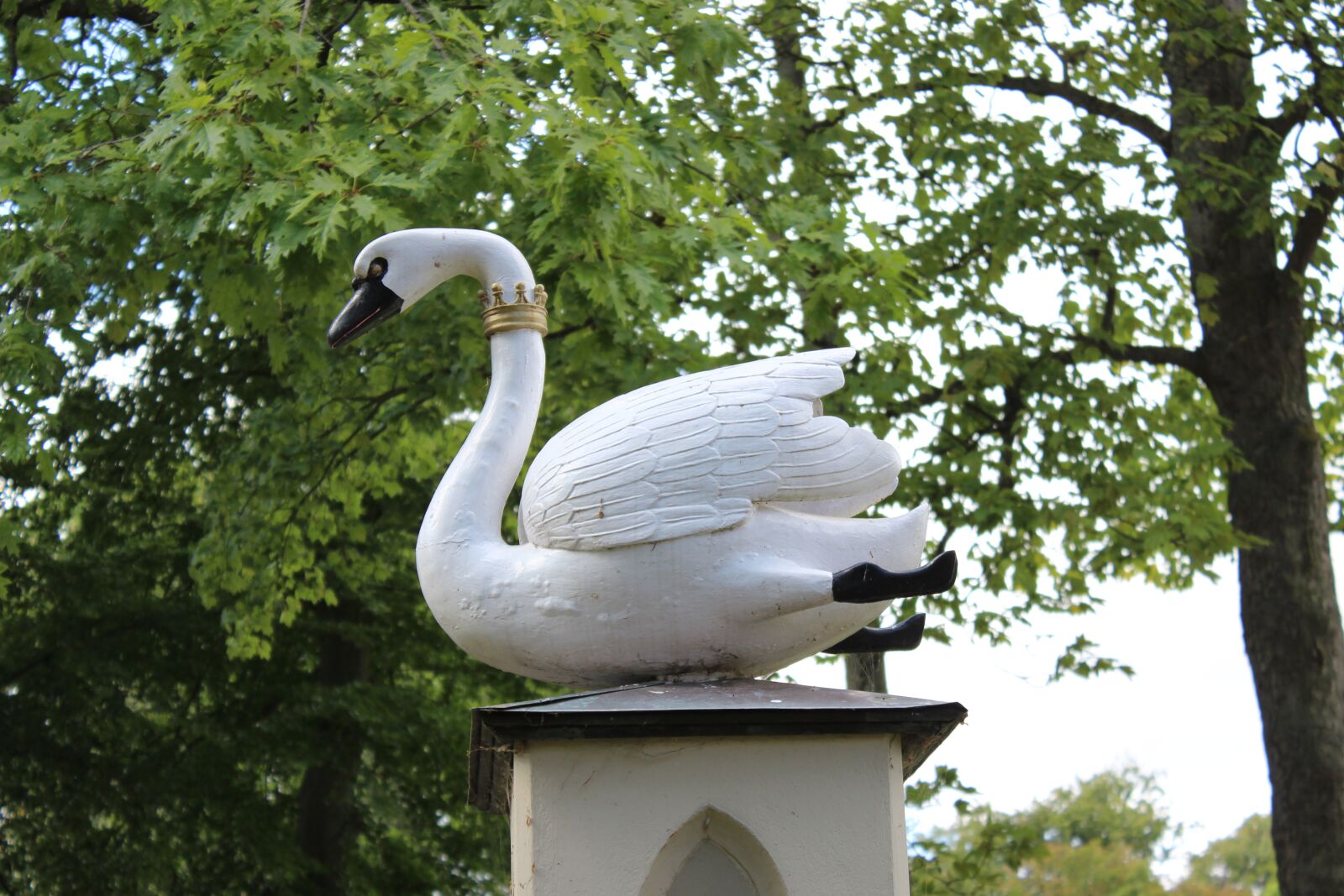 Canon EOS 600D (Rebel EOS T3i / EOS Kiss X5) sample photo. Doberan, swan, sculpture photography