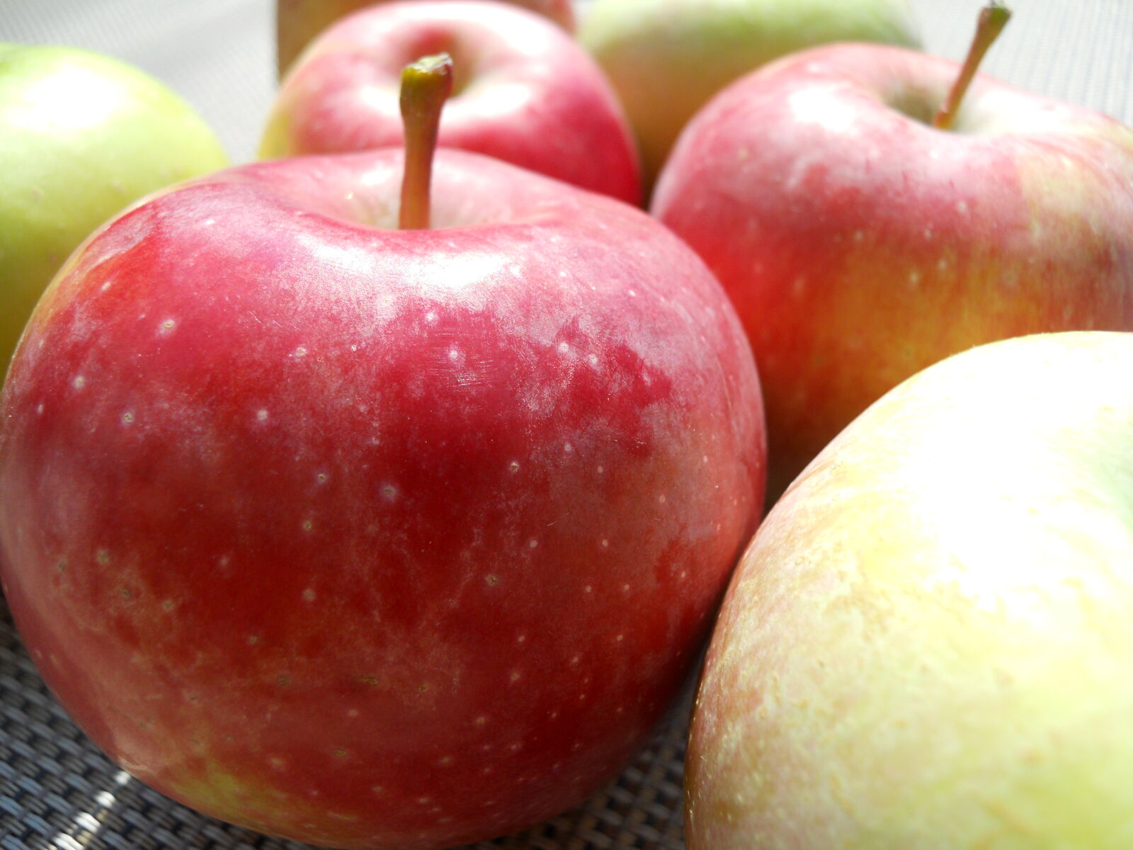 Nikon Coolpix S570 sample photo. Apples, fall, apples photography
