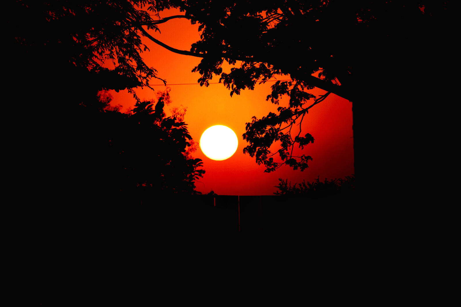 Nikon D3300 sample photo