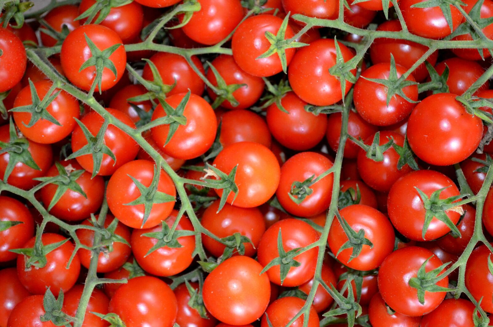 Nikon D5100 sample photo. Tomatoes, vegetables, red photography