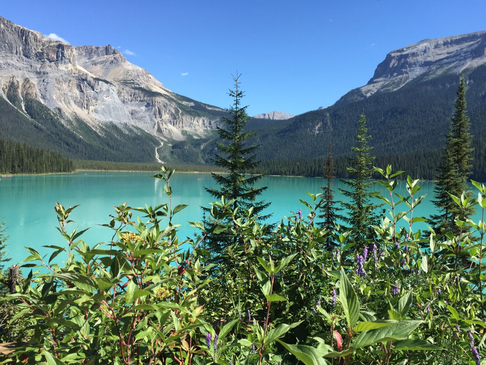Apple iPhone 6 sample photo. Emerald lake, canada, travel photography