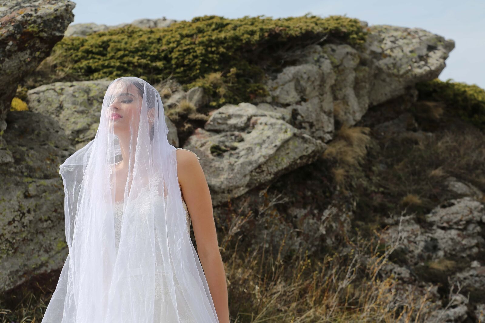 Canon EF 24-105mm F4L IS USM sample photo. Bride, young woman, veil photography